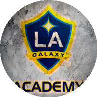 Logo LA Galaxy Academy